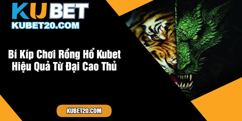 Bí Kíp Chơi Rồng Hổ Kubet Hiệu Quả Từ Đại Cao Thủ