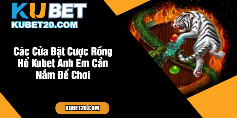 Các Cửa Đặt Cược Rồng Hổ Kubet Anh Em Cần Nắm Để Chơi