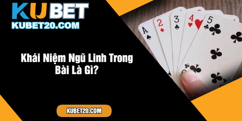 Khái Niệm Ngũ Linh Trong Bài Là Gì